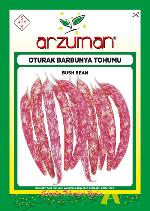 Barbunya(oturak) 50 Gr