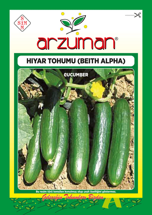 Beith Alpha