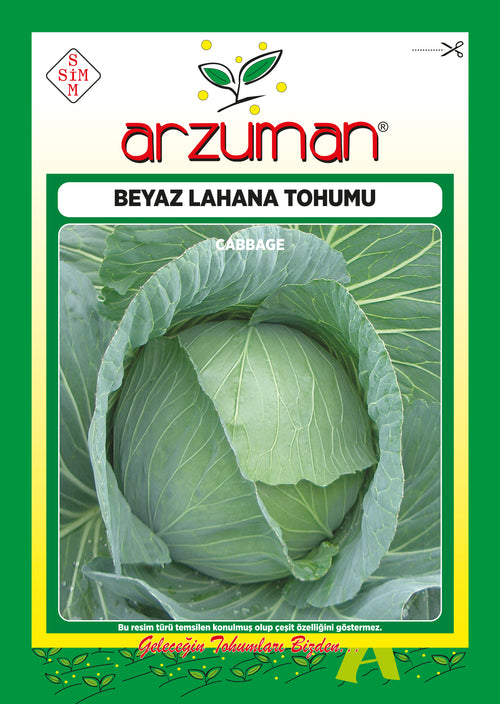 Beyaz Lahana