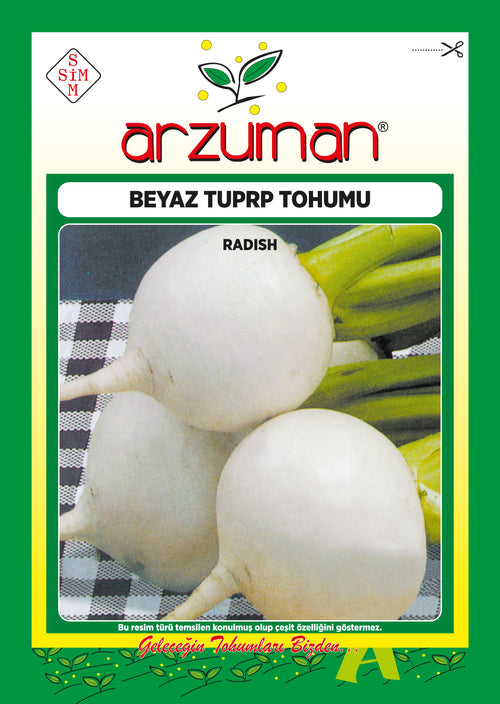Beyaz Turp (25 Gr)